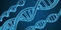 DNA.jfif