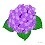 紫陽花５.jpg